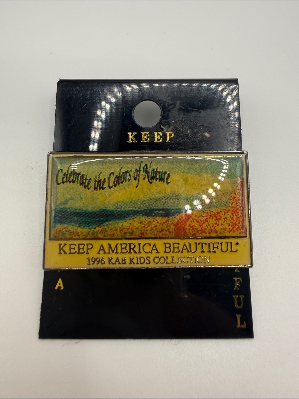 KEEP America Beautiful 'Celebrate the Colors of Nature' Wall Pin - Yellow/Green
